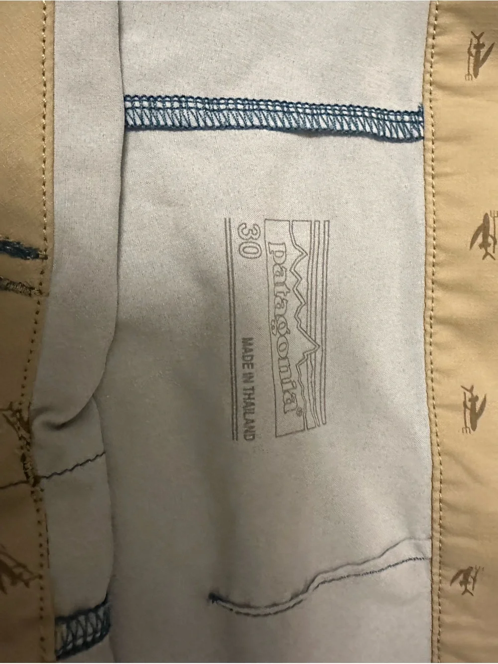 Patagonia Teal Board Shorts with Multicolor Wave Stripes
